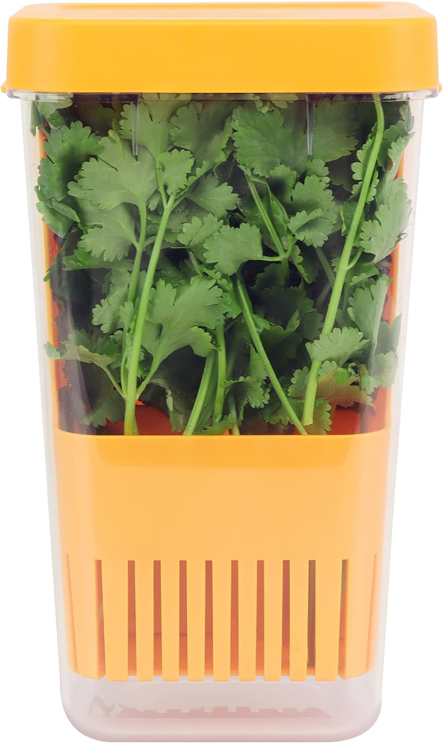 LUVCOSY 3 Pack Herb Keeper, BPA-Free Plastic Herb Saver with an Inner Basket for Cilantro, Mint, Parsley, and Asparagus, Keeps Fresh Herbs for 3 Times Longer