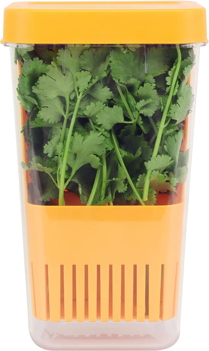 LUVCOSY 3 Pack Herb Keeper, BPA-Free Plastic Herb Saver with an Inner Basket for Cilantro, Mint, Parsley, and Asparagus, Keeps Fresh Herbs for 3 Times Longer