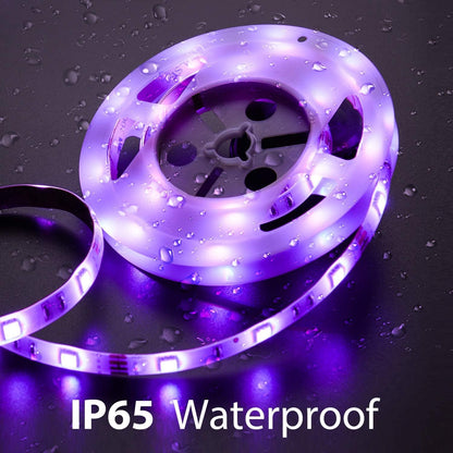 5 Feet Motion Activated Strip Lights, Plug-in LED Night Lights Waterproof for Bed, Kitchen, Stair (Warm White)