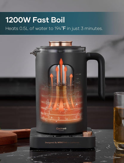INTASTING Electric Kettle, Electric Tea Kettle with Infuser, 1 Liter | ±1℉ Temperature Control, 1200W Fast Heating, BPA-Free Glass, Easy to Clean, Keep-warm, Auto shut-off, Dark Gray
