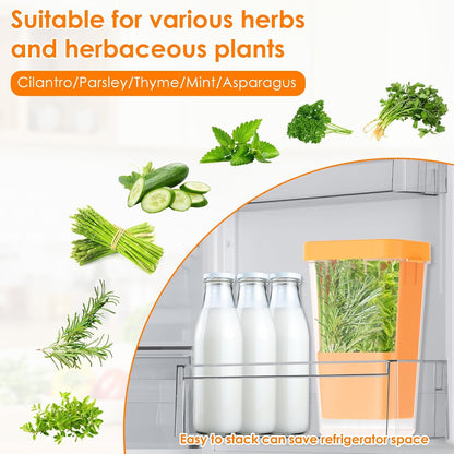Fresh Herb Keeper for Refrigerator, 5.1x4.1x 9.06 in Clear Herb Saver, Fridge Asparagus Container, Fresh Herb Saver, Herb Storage Containers, for Cilantro, Parsley, Thyme, Asparagus(Green)