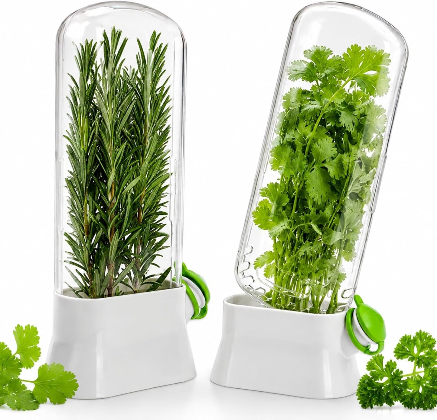 2 Pack Herb Saver for Refrigerator, Fresh Herb Keeper Preserver | Fresh Herbs Cilantro Container for Fridge, Parsley, Thyme, Mint, Asparagus, Easy to Use