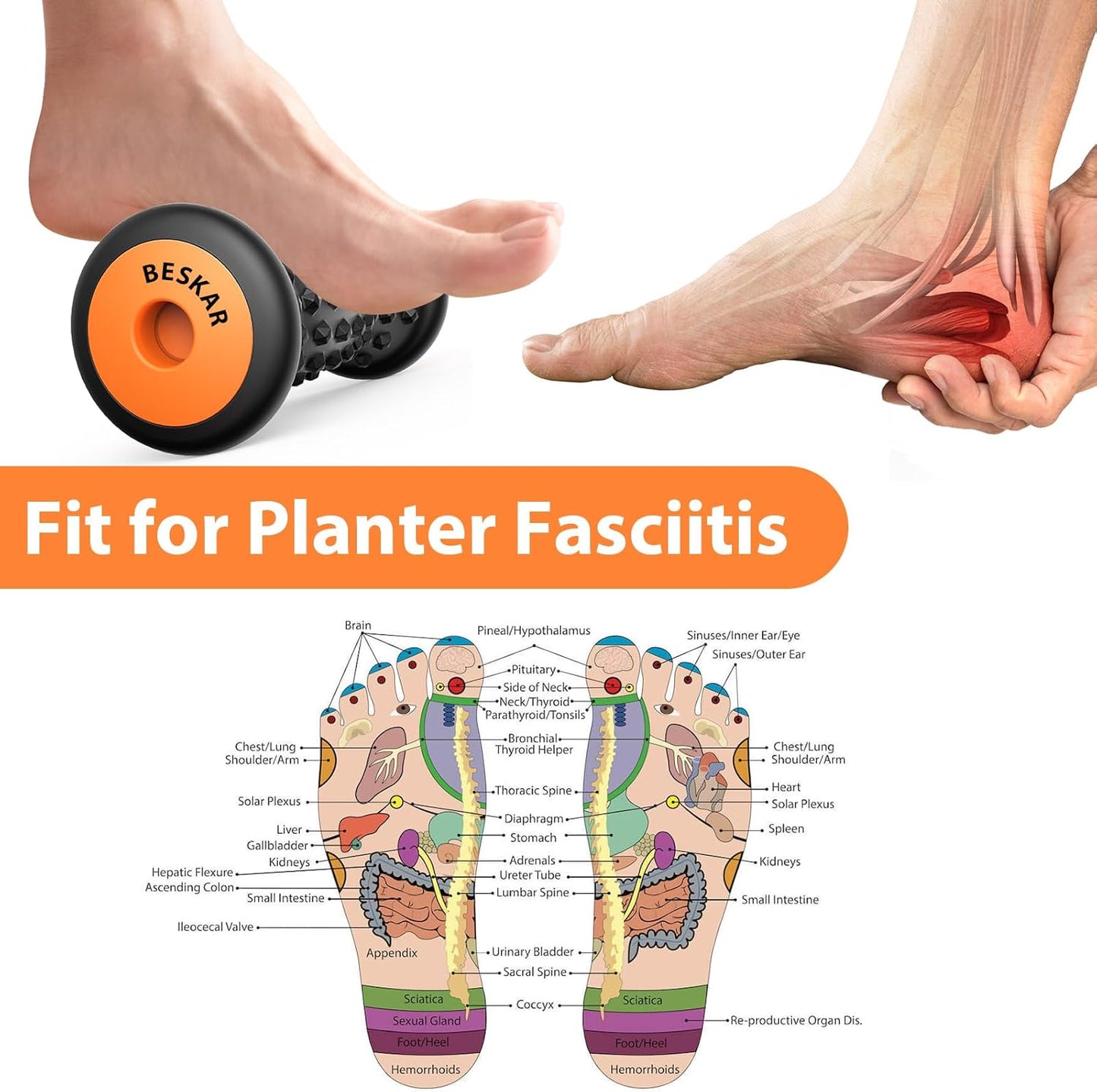 BESKAR Foot Massager Roller for Plantar Fasciitis Relief, Portable Feet Roller to Deep Tissue Muscle Massage, Foot Arch and Heel Pain, Reflexology Tool