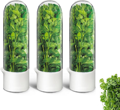 Herb Keeper for Refrigerator, Herb Saver for Refrigerator, Cilantro Container, Vegetable Preservation Bottle for Cilantro, Mint, Parsley, Asparagus, Keeps Greens Fresh for 2-3 Weeks (2PCS)