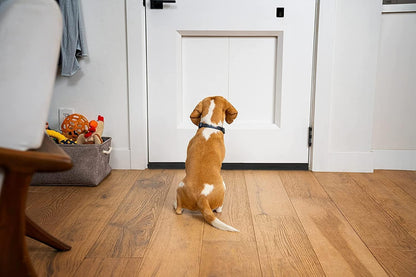 BKSAI Door Draft Stopper for Doors 29-35" No Adhesive Draft Stopper for Bottom of Door Draught Excluder Under Door Wind Blocker Reduce Noise Draught Excluder Sweep Sound Proof(Black) | No Adhesive, For Bottom of Door, Wind Blocker, Reduce Noise, Sound