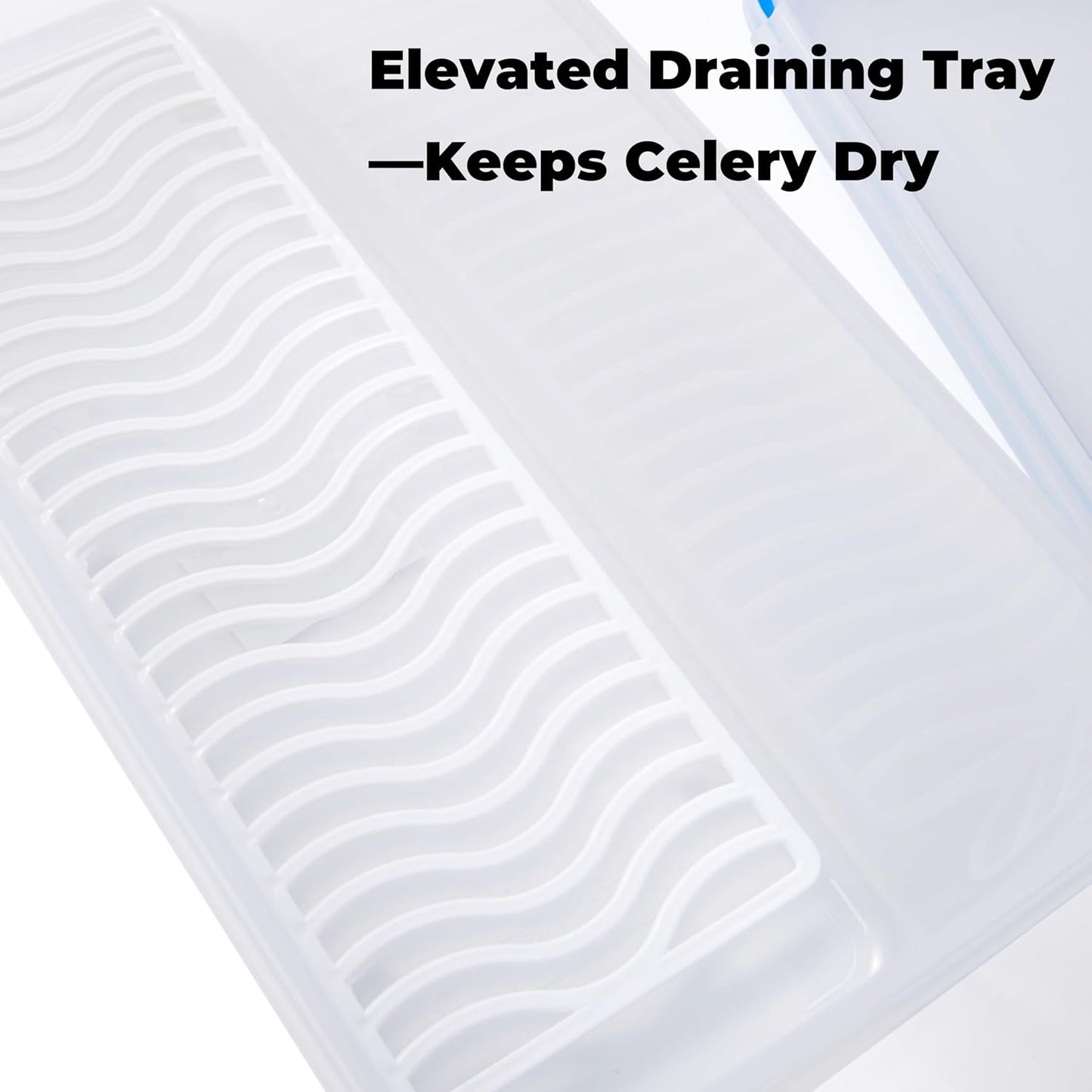 Celery Keeper for Refrigerator, 14 in 3.5 L Produce Container | Airtight Snap-Lock Lid, Draining Tray, Long Storage Bin, For Celery, Carrots, Greens And Refrigerator Produce
