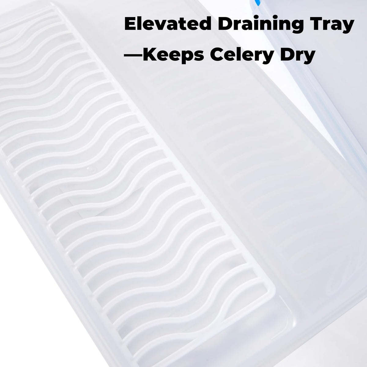 Celery Keeper for Refrigerator, 14 in 3.5 L Produce Container
