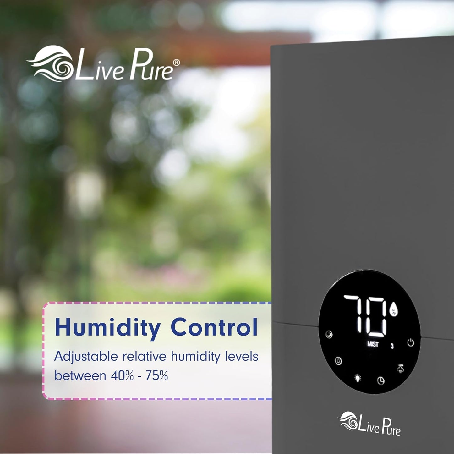 LivePure 1.2 L (.3 Gallon) Ultrasonic Cool Mist Top Fill Digital Humidifier with LED Display Screen, Graphite