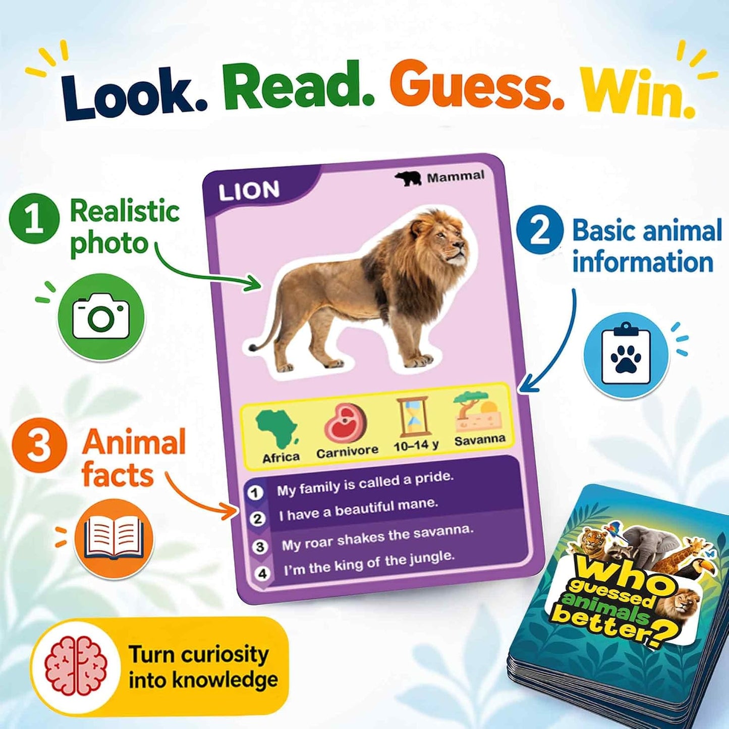 Quokka Who Guess It Better Countries – Educational Game with Visual Clues, Geography Learning Card Set, 50 Cards, Screen-Free Travel Game for Kids Ages 6+