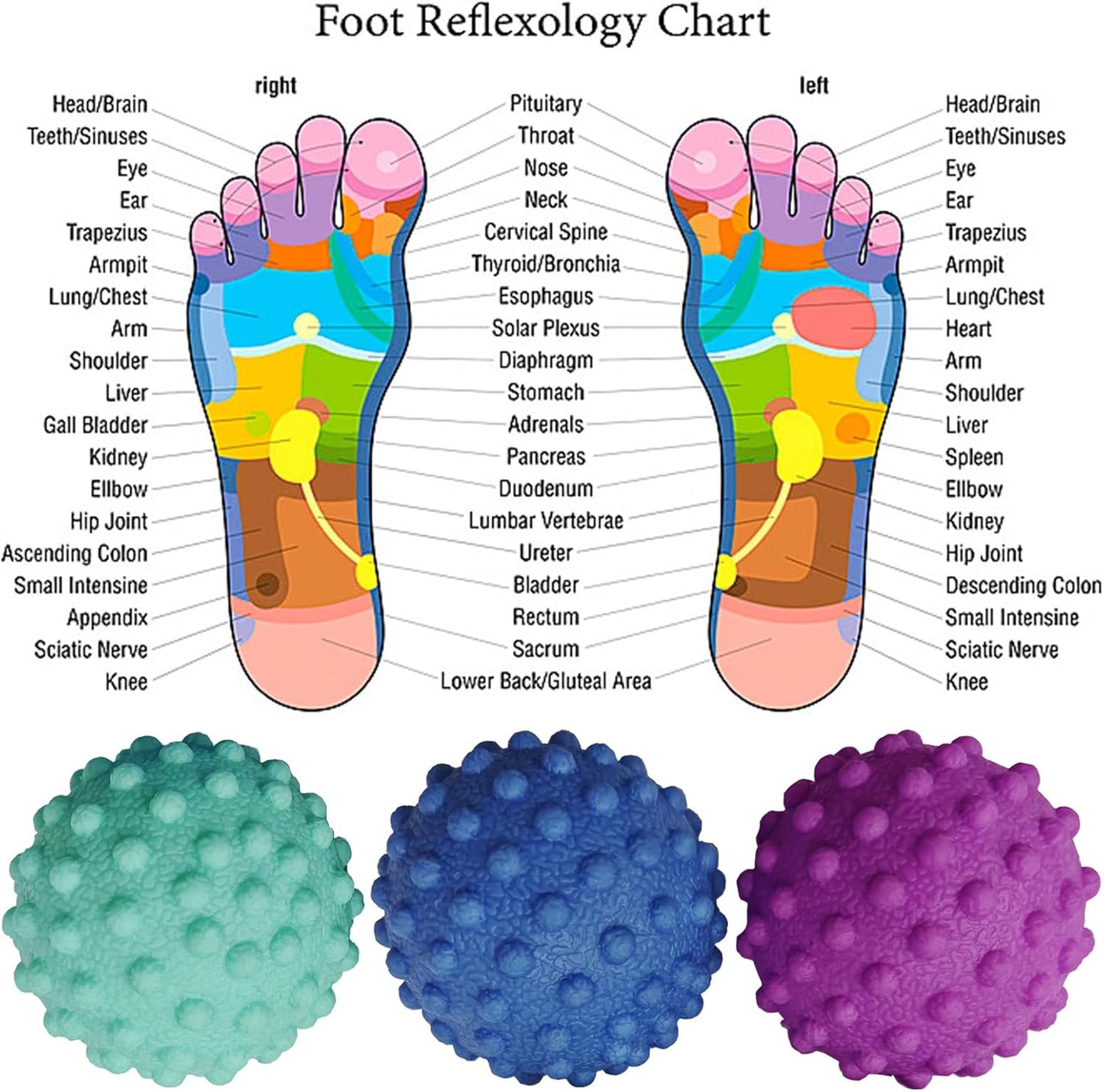 Foot Massage Ball Myofascial Release, Pain Relieve from Plantar Fasciitis, Massage Tool for Tight Muscles and Sore Feet, Restore Foot Massage Roller