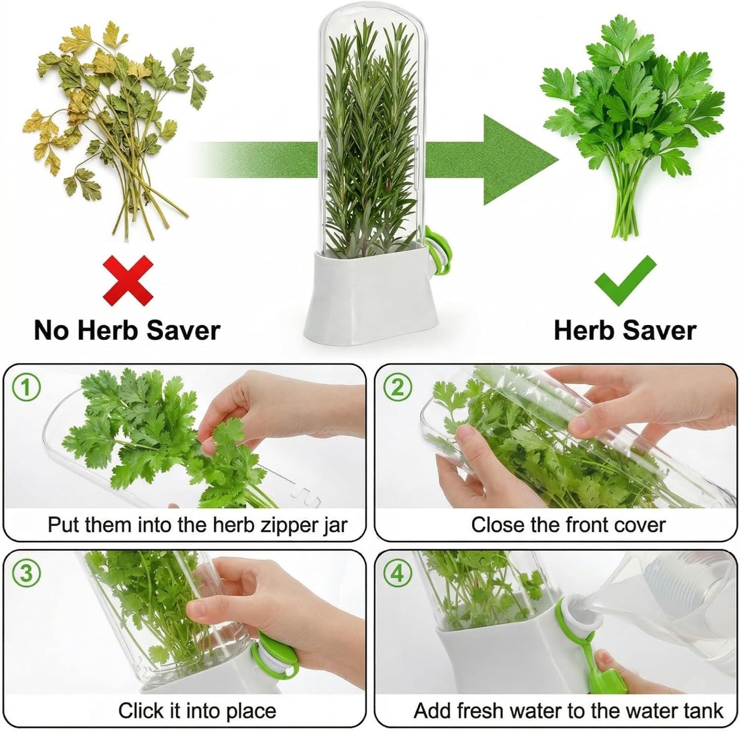 2 Pack Herb Saver for Refrigerator, Fresh Herb Keeper Preserver | Fresh Herbs Cilantro Container for Fridge, Parsley, Thyme, Mint, Asparagus, Easy to Use