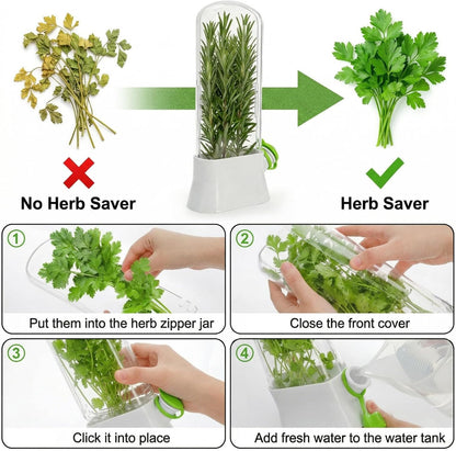 2 Pack Herb Saver for Refrigerator, Fresh Herb Keeper Preserver | Fresh Herbs Cilantro Container for Fridge, Parsley, Thyme, Mint, Asparagus, Easy to Use