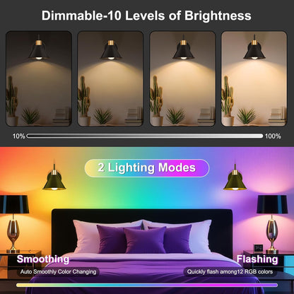 Frideko Rechargeable Wall Sconces Set of Two with Remote, RGB 15 Colors Dimmable Battery Operated Wall Lights for Living Room Bedroom, Indoor Black Wall Lamp with Timer Wireless