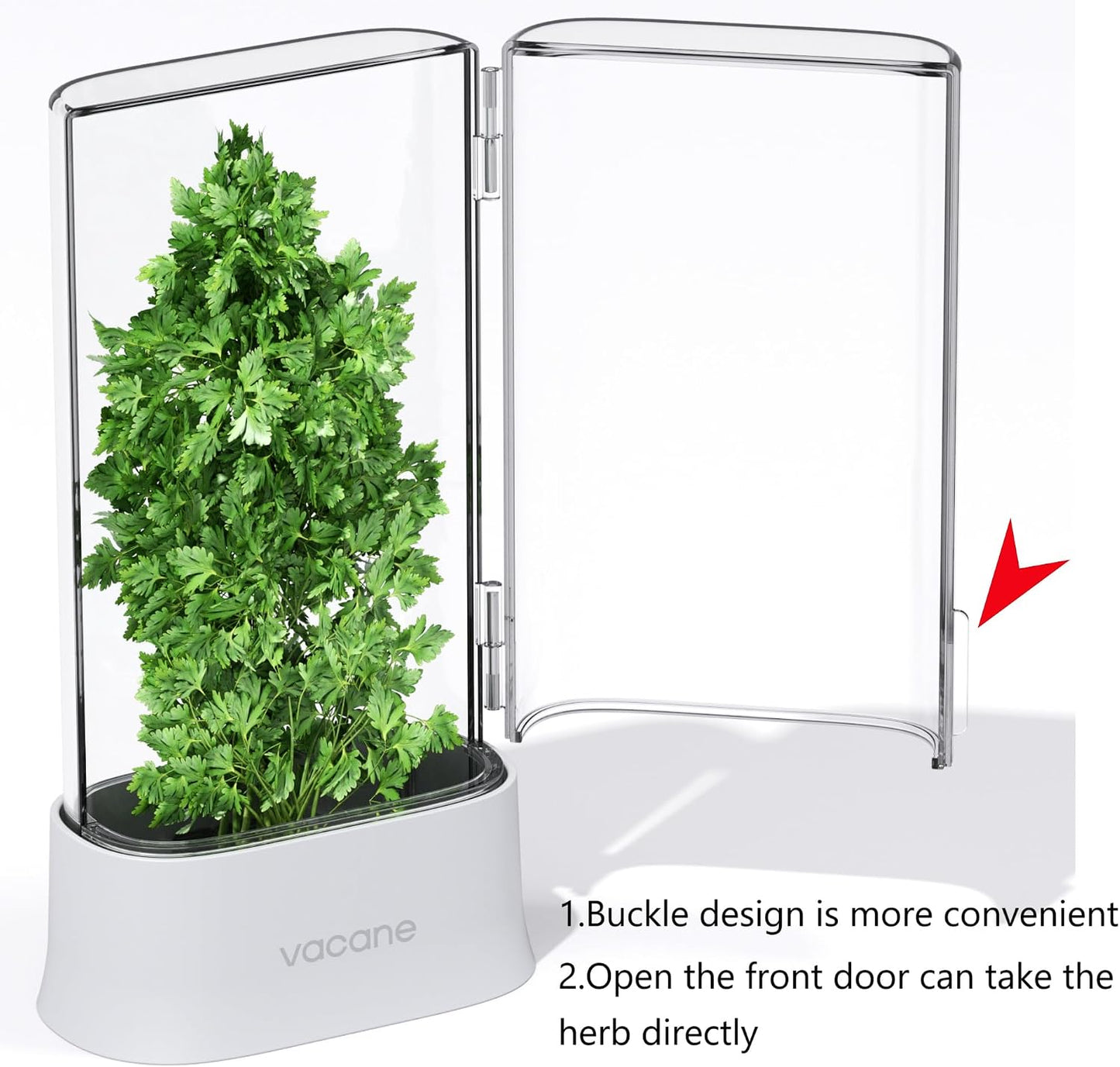Green Saver Herb Keeper – Refrigerator Storage Container for Cilantro, Asparagus, Fresh Herbs, Dishwasher Safe, Extends Freshness 10 Days – 2 Pack