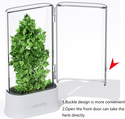 Green Saver Herb Keeper – Refrigerator Storage Container for Cilantro, Asparagus, Fresh Herbs, Dishwasher Safe, Extends Freshness 10 Days – 2 Pack