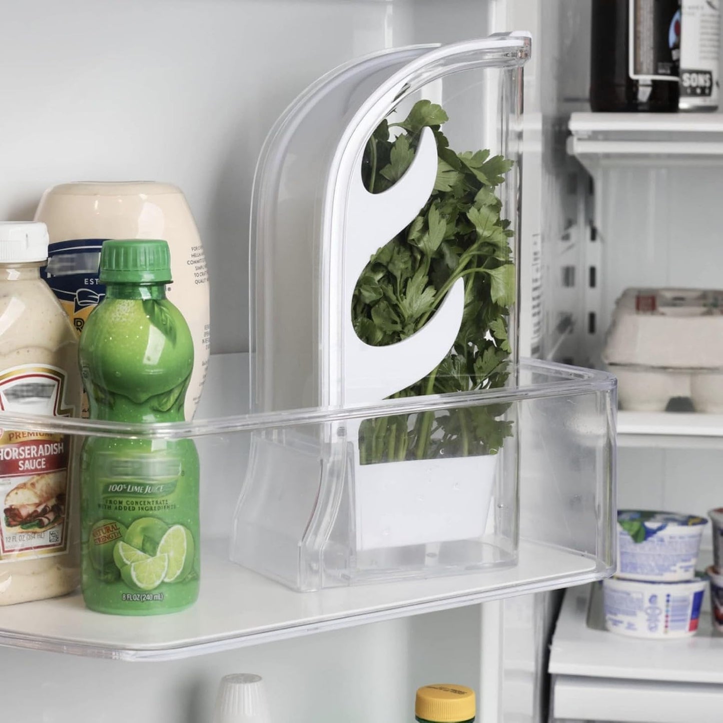 Fresh Herb Keeper for Refrigerator, Herb Saver for Refrigerator, Herb Storage Containers, Vegetable Preservation Bottle for Cilantro, Mint, Parsley, Asparagus, Keeps Greens Fresh