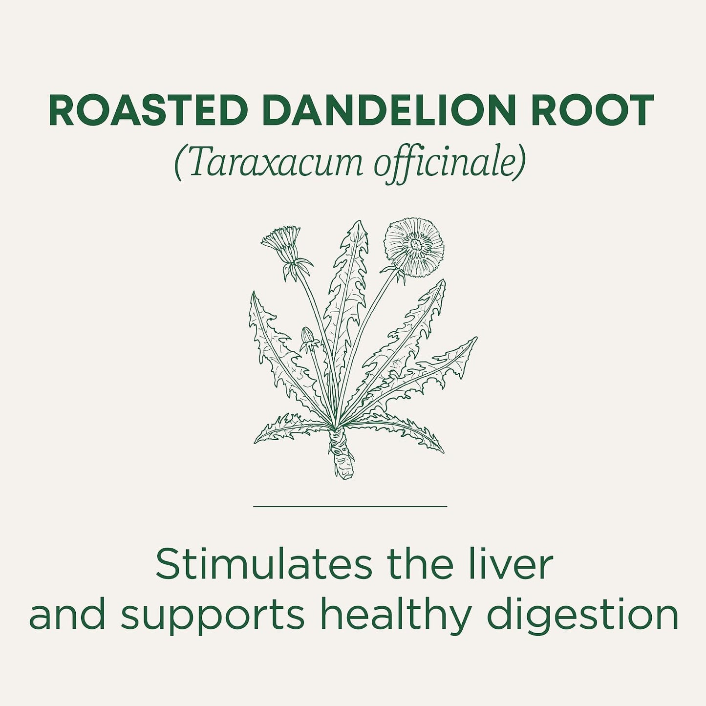Traditional Medicinals Organic, Dandelion Leaf & Root - Dandelion Root Tea, Supports Normal Detox + Digestion - Kosher, Non-GMO, Caffeine-Free, Compostable - 16 Tea Bags