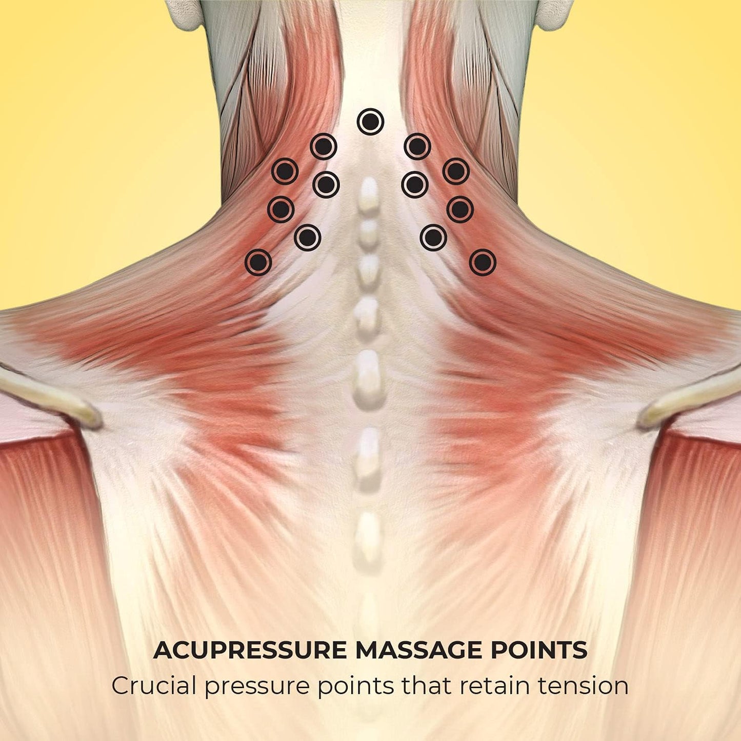 Lindo Shiatsu Neck Massager | Adjustable Knobs for Four-Point Gentle Shiatsu or Two-Point Deep Tissue Massage