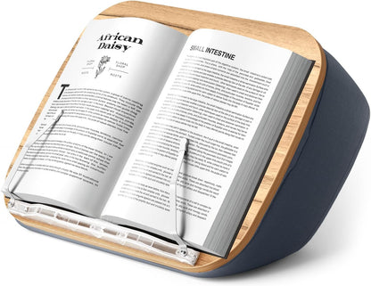 ERGONOV Lap Beanbag Book Stand for Hands Free Reading Comfortable Reading Pillow Stand Minimize Neck Strain Perfect Idea for Book Lovers in Dorm Room or Anywhere Else with Bookseat(Gray) | Minimize Neck Strain Perfect Idea for Book Lovers in Dorm Room or