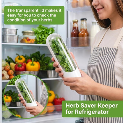 2Pcs Cilantro Container for Fridge, Transparent Herbs Saver fits Fridge Asparagus Parsley Mint Leaves, Keeps Greens Vegetables for 2-3 Weeks