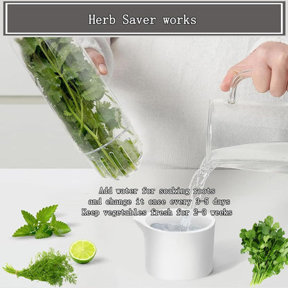 Herb Saver for Refrigerator, Cilantro Container for Fridge, Fresh Herbs Lettuce Keeper for Refrigerator Parsley Mint Leaves Fresh Herb Keeper, Refrigerato Storage for Fresh for 2-3 Weeks