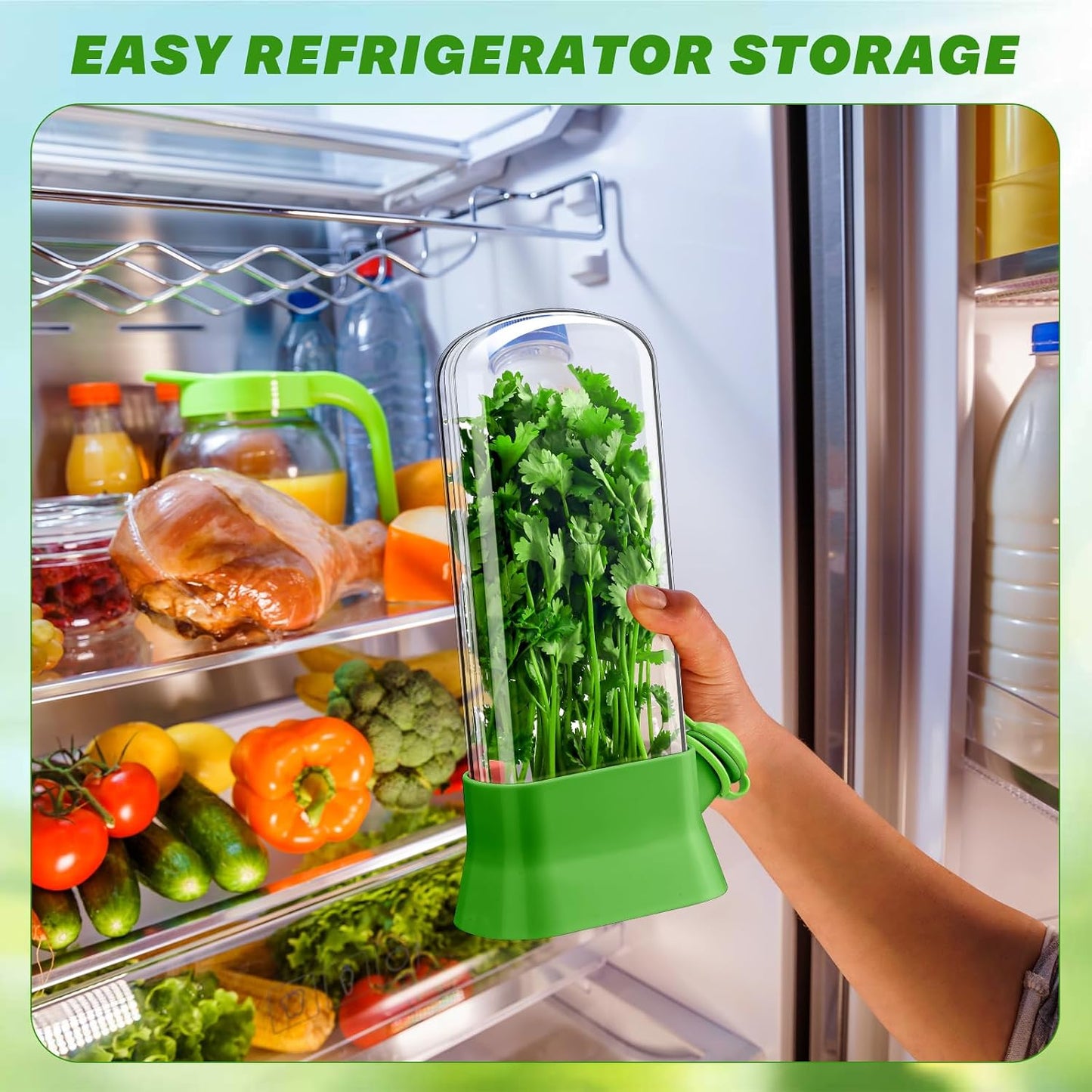 2 Pieces Herb Saver for Refrigerator Fresh Herb Keeper Cilantro Container for Fridge Saver Pod for Cilantro, Parsley, Asparagus, Keeps Vegetables for 2-3 Weeks(White)