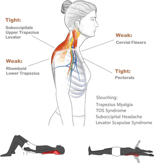 Trapezius Massager, Neck, Shoulder & Upper Back Pain Relief Manual Massager – Trigger Point Tool for Trapezius Tightness, Tension Headaches, Tech-Neck, and Suboccipital Release