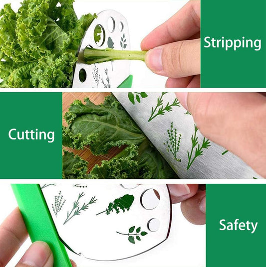 Dulcicasa Leaf Herb Stripper 9 Holes, Stainless Steel Herb Cutter with Safety Cover for Kale, Chard, Collard Greens, Thyme, Basil, Rosemary, Kitchen Herbs Stripper Tool (1pc)