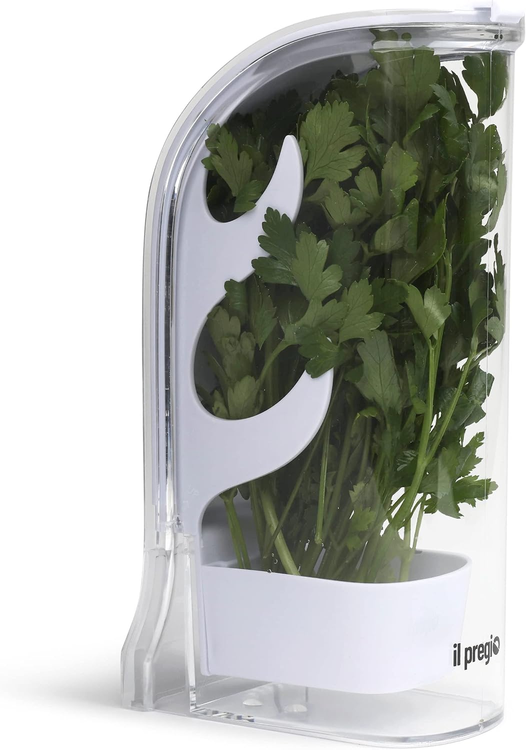 Fresh Herb Keeper – Long - Lasting Plastic Herb & Green Preserver (Cilantro, Mint, Parsley, Asparagus & More)