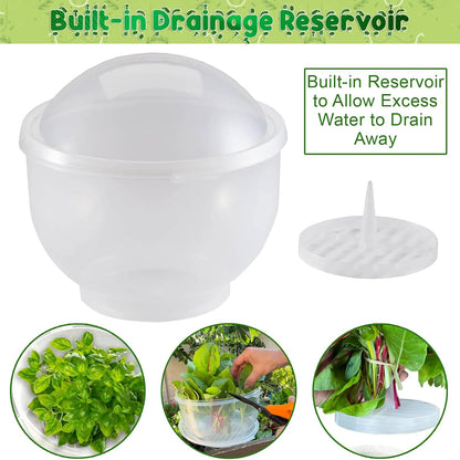 Home-X Lettuce Keeper - BPA-Free Lettuce Keeper for Refrigerator to Keep Salads and Vegetables Fresh - 7" x 8" Lettuce Crisper with Drainage Reservoir - Clear See-Through Vegetable and Fruit Crisper