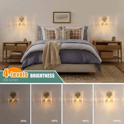 Shenmoyl Battery Operated Wall Sconce Wall Lamp with Green Lily of the Valley Shade Pattern Glass Adjustable Chain Retro Gold Wall Mounted Light, Modern Wall Lamp Fixtures Decor for Bedside Bedroom