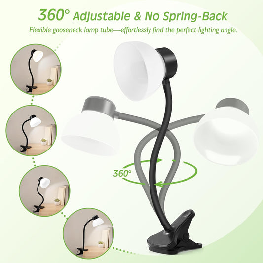 Desk Lamps for Home Office,Small LED Reading Lamp,5000K Eye-Care Desk Light