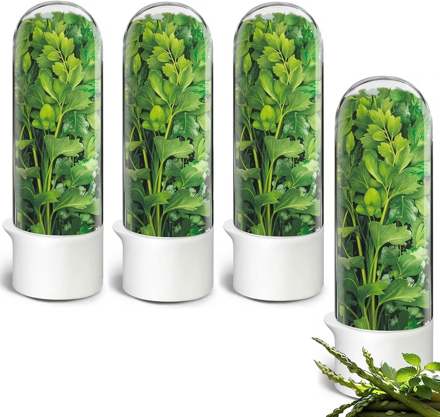 Herb Saver for Refrigerator - Herb Keeper & Cilantro Container for Fridge | Vegetable Preservation Storage Container for Cilantro, Basil, Asparagus | Extends Freshness Up to 2-3 Weeks