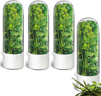 Herb Saver for Refrigerator - Herb Keeper & Cilantro Container for Fridge | Vegetable Preservation Storage Container for Cilantro, Basil, Asparagus | Extends Freshness Up to 2-3 Weeks