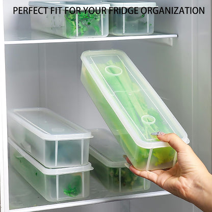 Fresh Herb Organizer - Set of 2 Transparent Plastic Refrigerator Containers - Space-saving Design for Easy Access and Maximum Freshness
