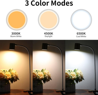 Desk Lamp USB Clip On Light,Book Lights for Reading at Night Clamp Light | 3 Color Modes,10 Brightness Clamp Light,360° Gooseneck LED Reading Light for Books in Bed,Eye-Care for Home Office,Headboards