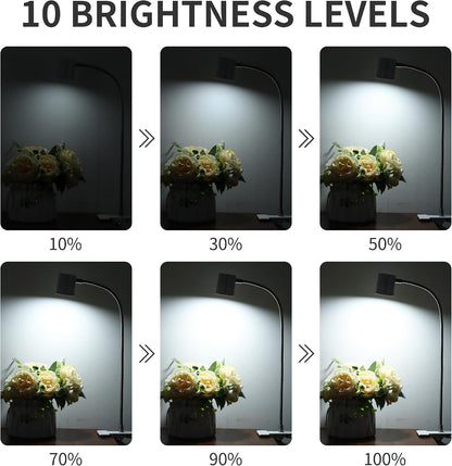 Desk Lamp USB Clip On Light,Book Lights for Reading at Night Clamp Light