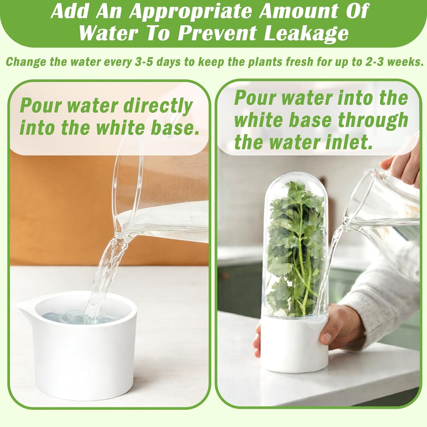 Ideal Swan Herb Keeper, 3 Pack Herb Saver Refrigerator for Cilantro & Herbs | Keeps herbs fresh 2-3 weeks. 3 pack stores cilantro, parsley, asparagus, lettuce. Easy-clean, stackable, fits fridge shelves.