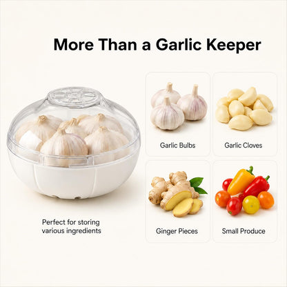 Avocado Keeper Saver Avocado Storage Containers With Lid | Onion Avocado Tomato Saver Fruit vegetable Holder Storage (Avocado Holder)