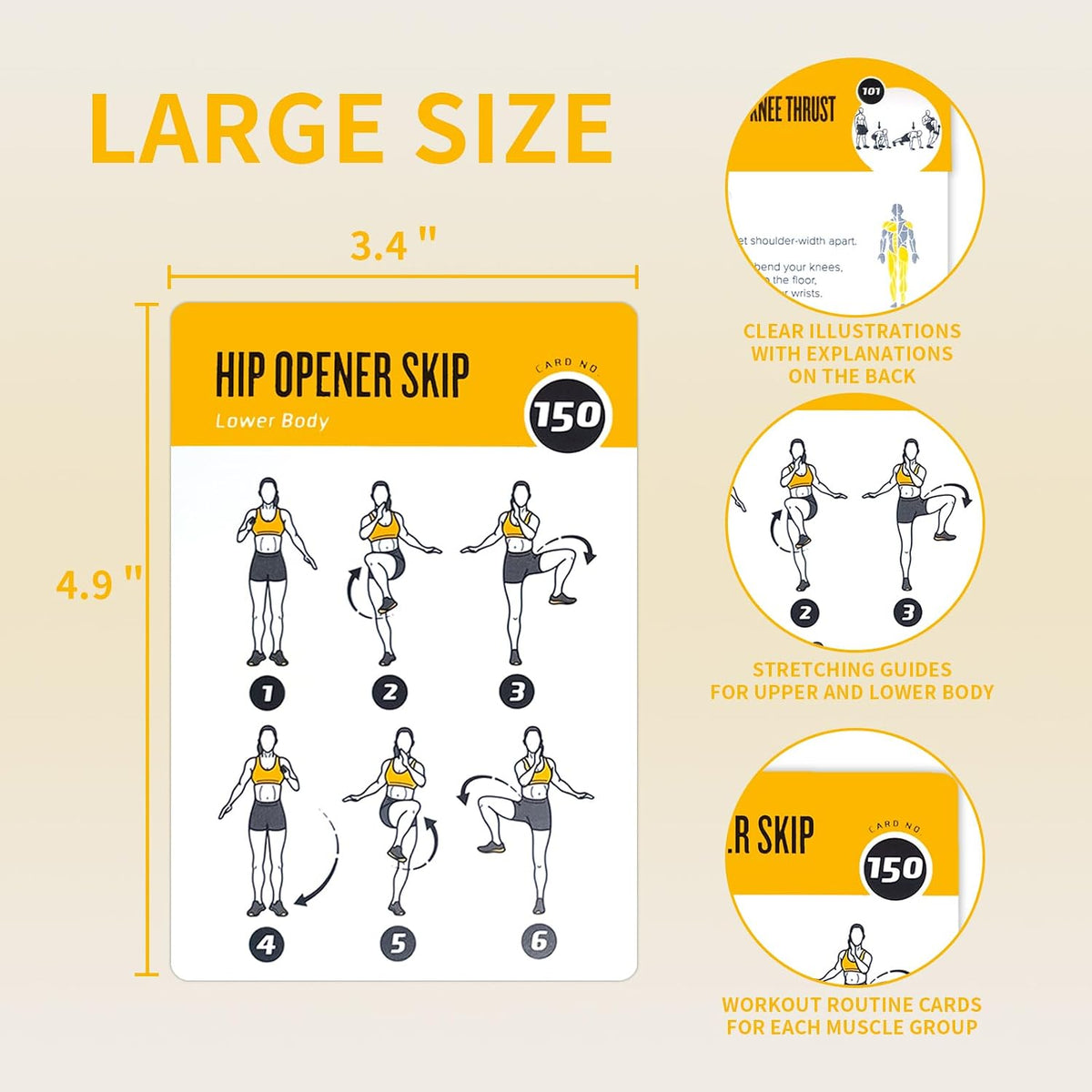 Half Balance Ball Workout Cards, 62 Exercises Cards Deck Large Size 5" x 3.5" Fitness Cards for Women & Men, Beginner Fitness Guide to Training Exercises at Home or Gym
