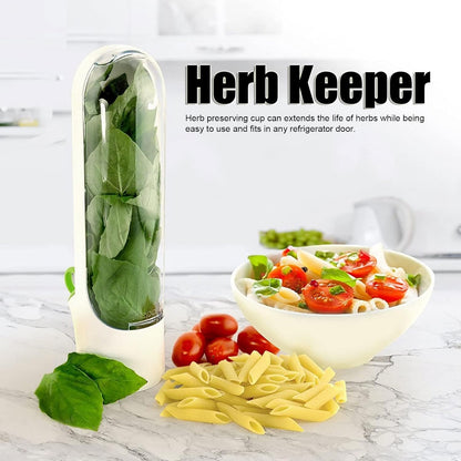 Agatige Cilantro Container for Fridge, 25cm Transparent Windows Vegetable Preservation Bottle Lettuce Keeper Containers for Cilantro Mint Parsley Asparagus