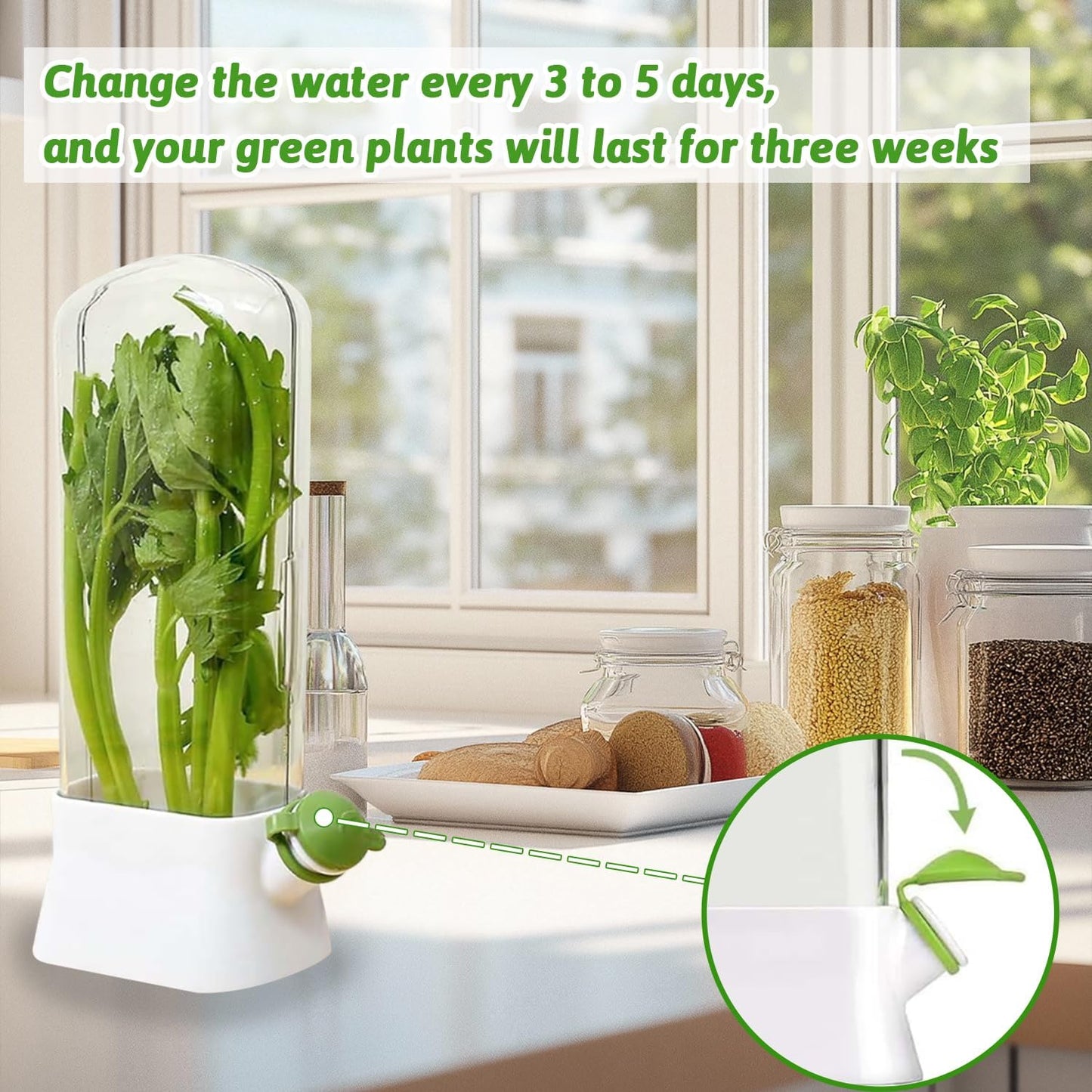 2PCS Herb Keeper For Refrigerator,Fresh Vanilla, Cilantro, Asparagus And Peppermint Fresh Vanilla Preservation Box,Keeps Greens Fresh For 2-3 Weeks