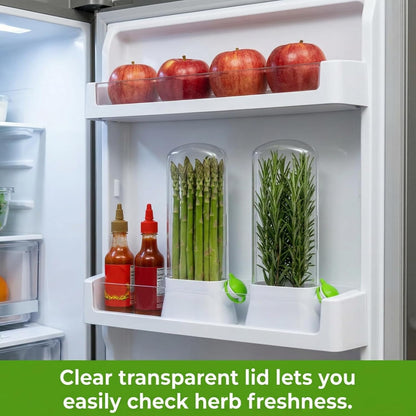 2 Pack Herb Saver for Refrigerator, Fresh Herb Keeper Preserver | Fresh Herbs Cilantro Container for Fridge, Parsley, Thyme, Mint, Asparagus, Easy to Use