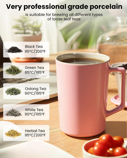 15 oz Ceramic Tea Infuser Cup with Lid - Tea Mug with All Porcelain Strainer for Loose Leaf Teas,Microwave and Dishwasher Safe,Metal-Free,BPA-Free for Tea Lovers/Birthday (Black)