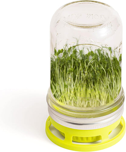 Jarware Herb Saver Lid for Wide Mouth Mason Jars, Green
