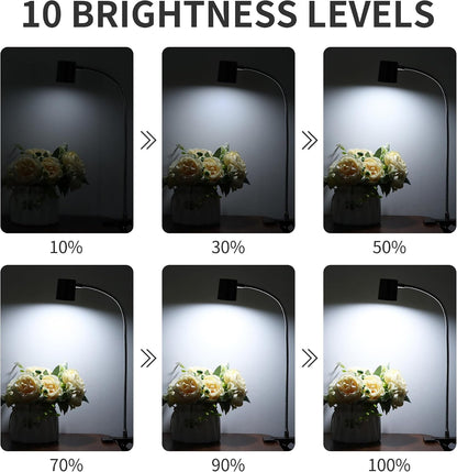 Desk Lamp USB Clip On Light,Book Lights for Reading at Night Clamp Light