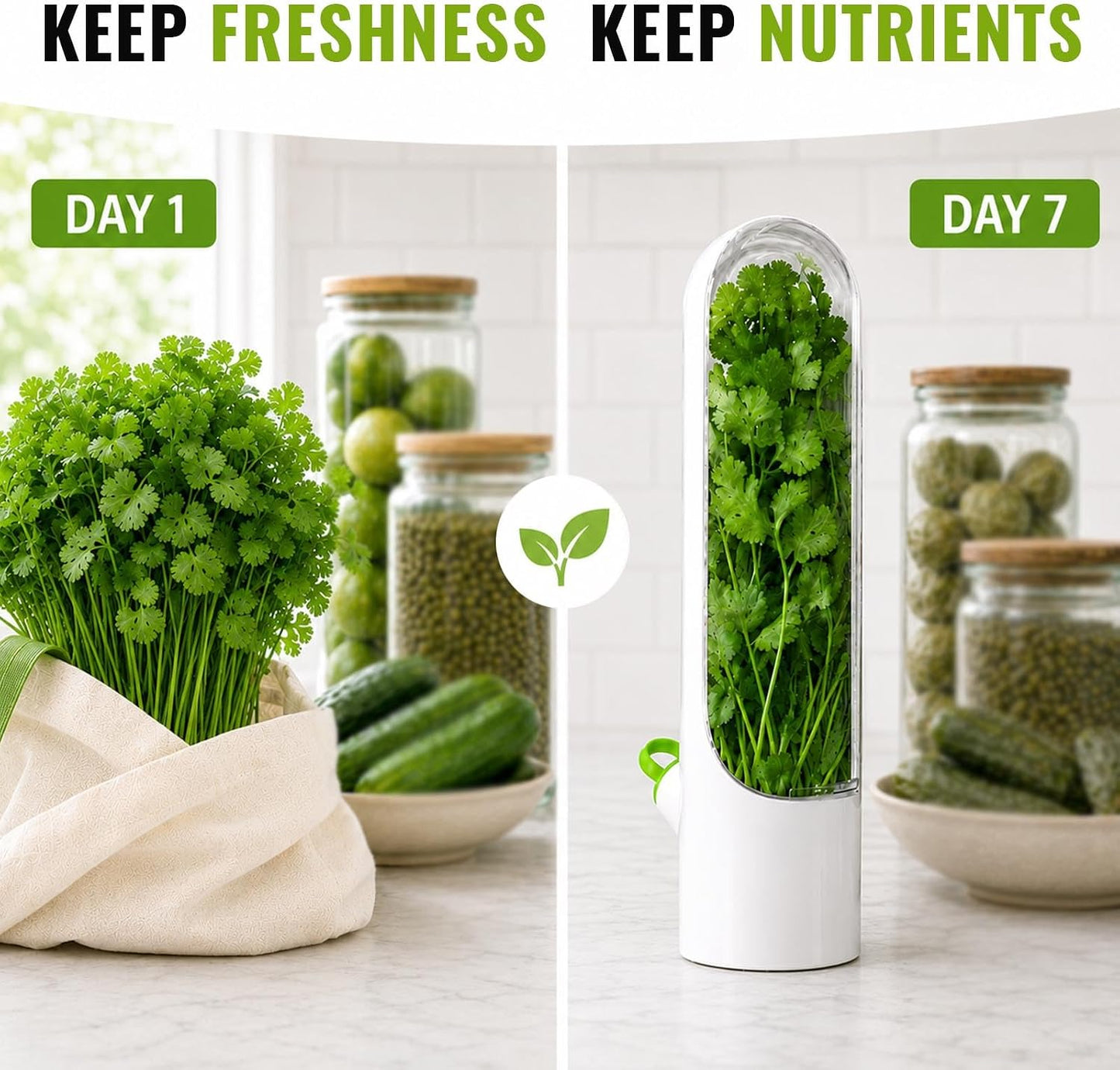 3 Pack Herb Keeper for Fridge with Water Reservoir, 2.65 x 9.65 in | 3 slim herb pods; clear covers; water reservoirs; fits cilantro, parsley, mint, rosemary and green onions; 2.65 x 9.65 in