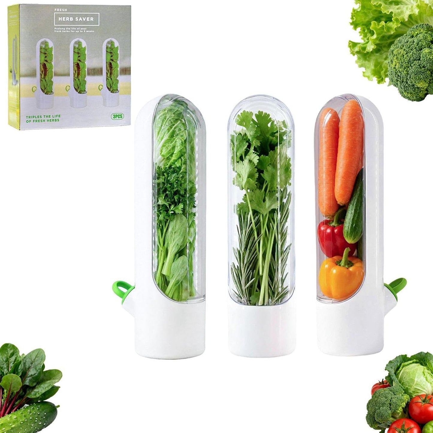 3 Pack Herb Saver for Fridge Cilantro Basil Storage Container | Fresh Herb Keeper with Removable Silicone Drain Plug，Vegetable Preservation Mint Extend Freshness Up to 2-3 Weeks