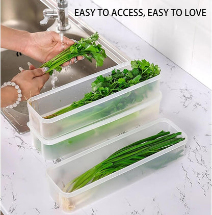 Fresh Herb Organizer - Set of 2 Transparent Plastic Refrigerator Containers - Space-saving Design for Easy Access and Maximum Freshness