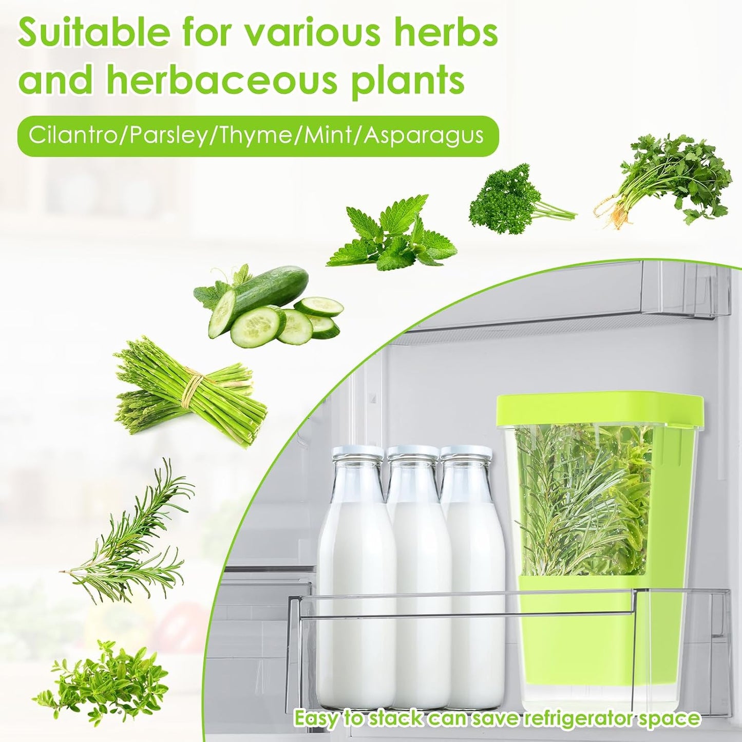 Fresh Herb Keeper for Refrigerator, 5.1x4.1x 9.06 in Clear Herb Saver, Fridge Asparagus Container, Fresh Herb Saver, Herb Storage Containers, for Cilantro, Parsley, Thyme, Asparagus(Green)